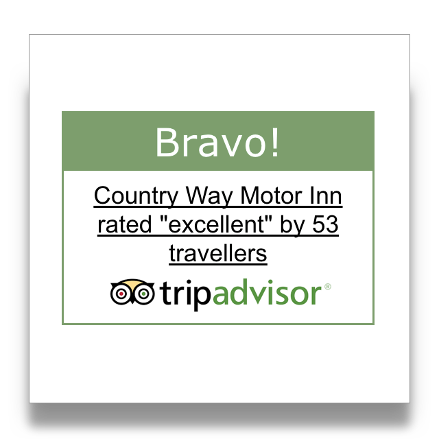 TripAdvisor 2015 Review Rating